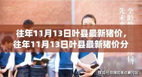 往年11月13日叶县猪价动态,分析与展望最新市场趋势
