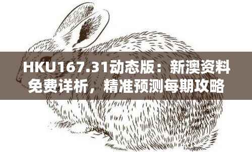 HKU167.31动态版:新澳资料免费详析,精准预测每期攻略