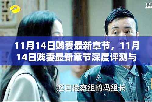11月14日贱妻最新章节,深度评测与详细介绍