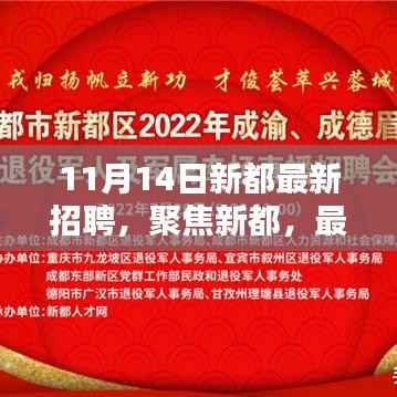 聚焦新都,最新招聘动态揭秘(11月14日版)