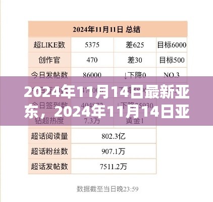 亚东发展概览,最新进展与未来展望(2024年11月14日)