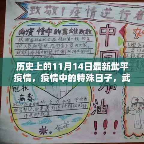 武平疫情下的特殊日子,历史上的11月14日与温暖陪伴的记忆