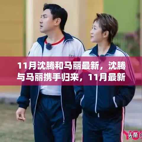 沈腾与马丽11月最新作品,深度解析与体验评测重磅来袭!