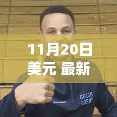 11月20日美元最新动态解析，市场影响深入剖析