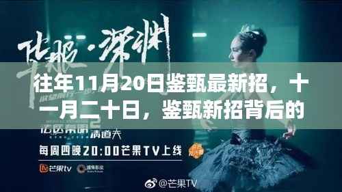 鉴甄新招背后的温馨故事,揭秘十一月二十日的招新动态