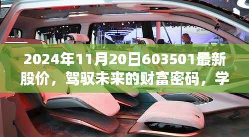 驾驭未来财富密码,揭秘最新股价,自信闪耀在2024年11月20日的股市风云中