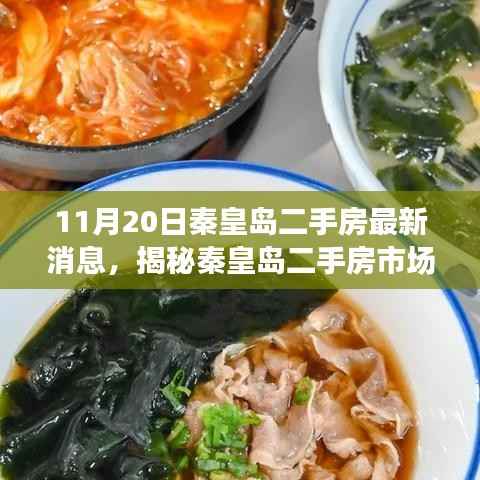 秦皇岛二手房市场揭秘,最新动态与小巷深处的独特小店探索