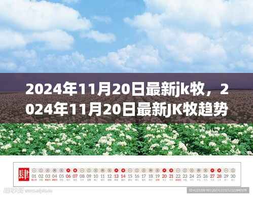 2024年最新JK牧趋势展望,行业前沿动态与案例分析