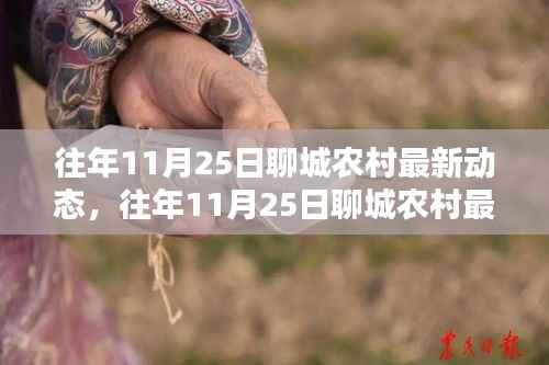 往年11月25日聊城农村最新动态深度解析,产品特性、使用体验与竞品对比评测报告