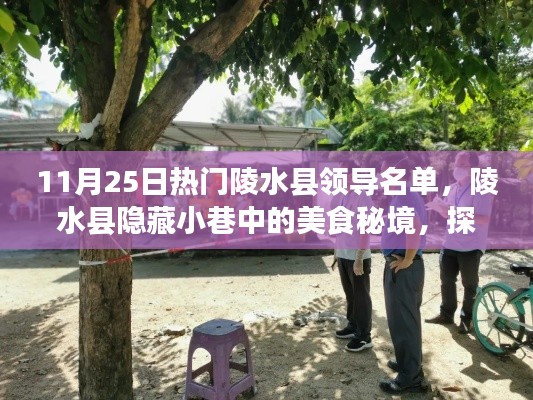 陵水县美食秘境探寻,领导名单背后的特色小吃与隐藏小巷美食指南
