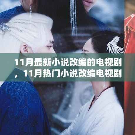 聚焦改编细节与观众期待,11月热门小说改编电视剧盘点
