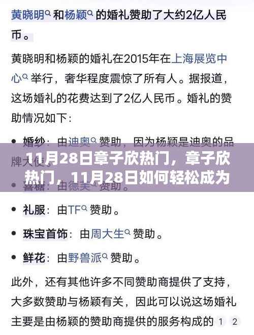 11月28日章子欣热门话题揭秘,轻松成为话题焦点,初学者与进阶用户指南