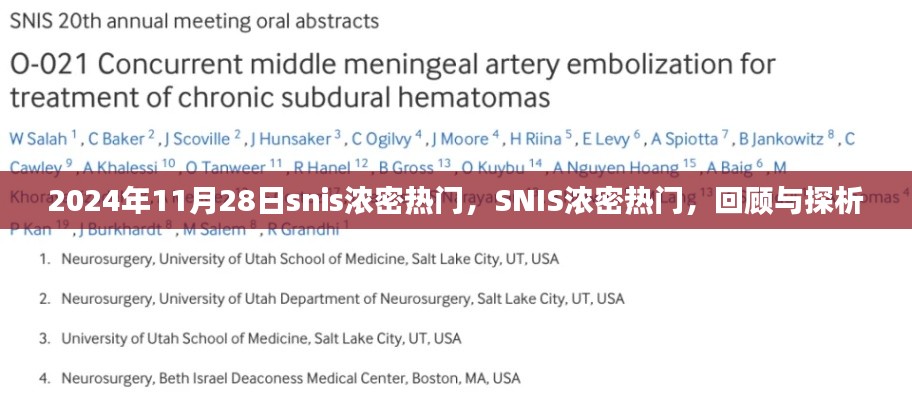 回顾与探析,SNIS浓密热门事件(2024年11月28日)