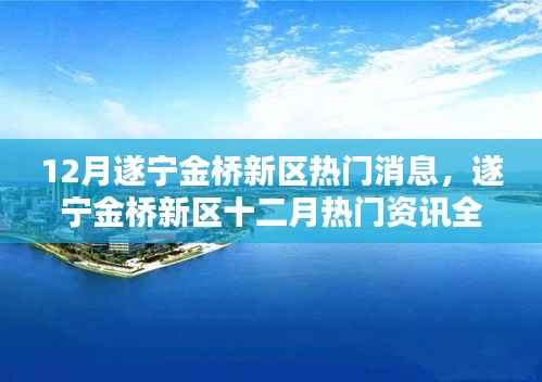 遂宁金桥新区十二月热门资讯解析,洞悉动态,掌握最新消息的一站式指南