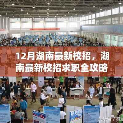 湖南最新校招求职攻略,成功应聘心仪职位全指南(附求职全攻略)