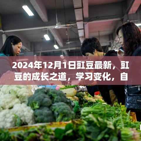 豇豆成长之路,学习变化,自信闪耀,展望2024年未来成就