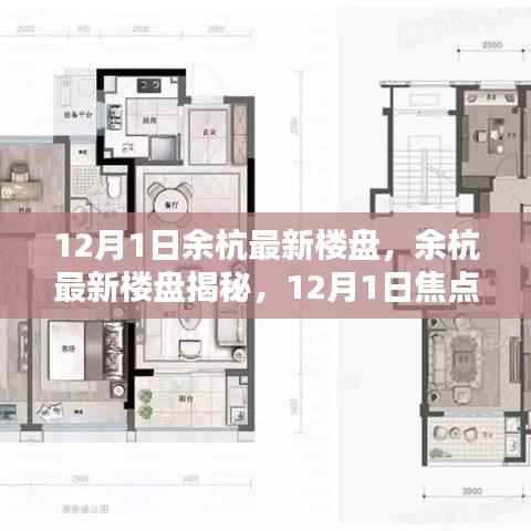 12月1日余杭最新楼盘焦点解析,揭秘最新楼盘动态