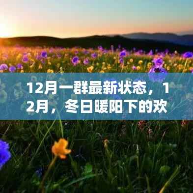12月欢乐时光,冬日暖阳下的最新状态