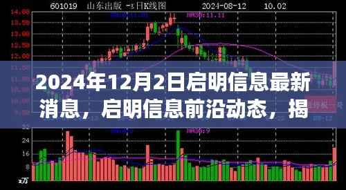 揭秘启明信息最新动态,2024年12月2日最新消息与前沿动态揭秘