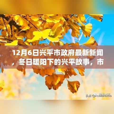 兴平市政府最新动态,冬日暖阳下的故事与情感纽带
