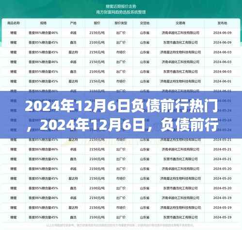 负债前行背后的故事与影响,热门背后的深度剖析