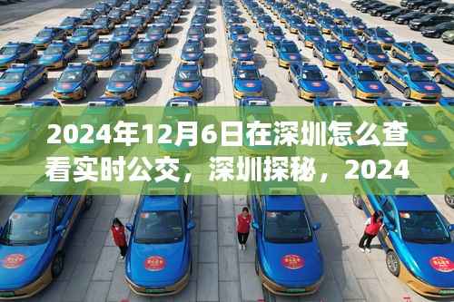深圳探秘,追寻自然与内心宁静的公交之旅,实时公交查询指南(2024年)