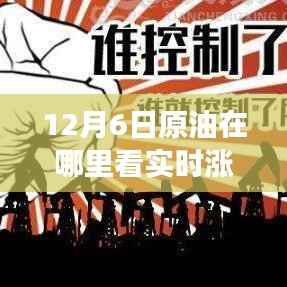 揭秘，如何掌握12月6日原油市场动态与实时涨跌表查看指南