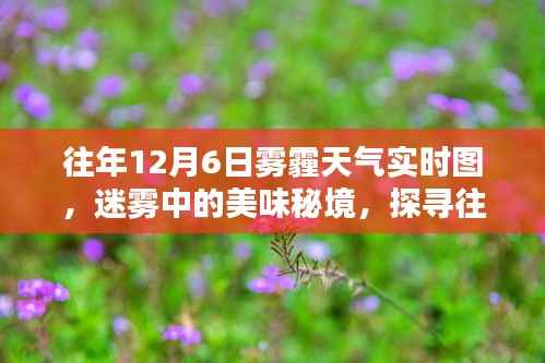 往年12月6日雾霾天气背后的巷子深处美食秘境探索,迷雾中的特色小店实时图揭秘