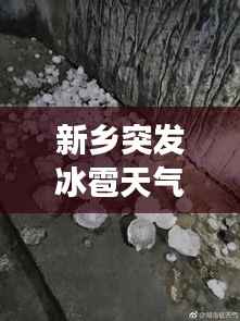 回眸最初 第4页