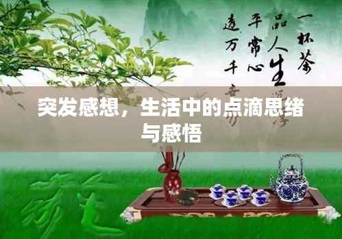 突发感想,生活中的点滴思绪与感悟