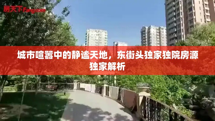 城市喧嚣中的静谧天地,东街头独家独院房源独家解析