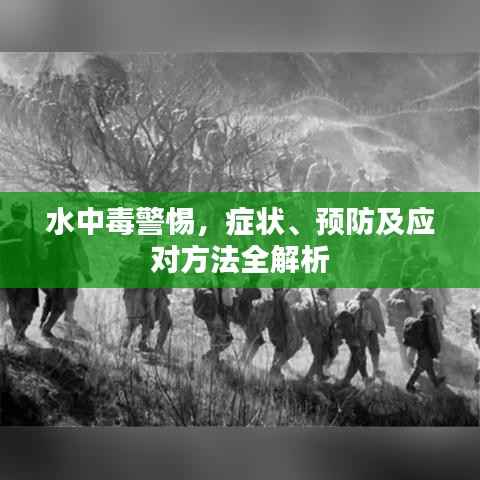 水中毒警惕，症状、预防及应对方法全解析