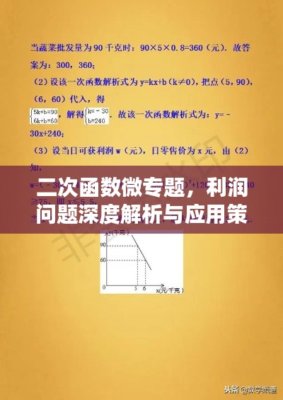 二次函数微专题,利润问题深度解析与应用策略