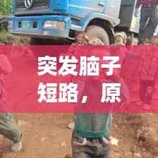 突发脑子短路，原因解析、影响评估与应对策略探究