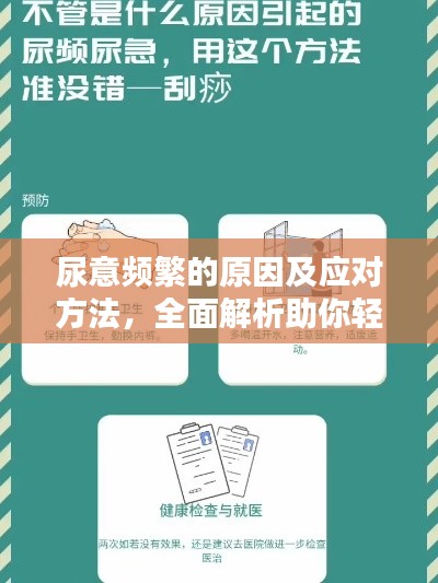 尿意频繁的原因及应对方法,全面解析助你轻松应对