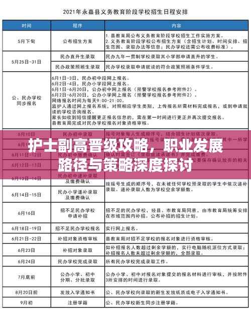 护士副高晋级攻略,职业发展路径与策略深度探讨