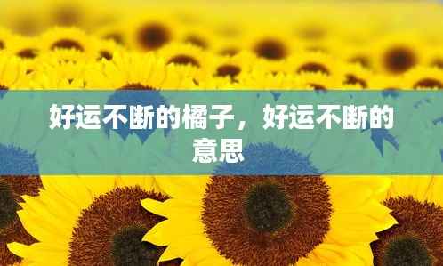 好运不断的橘子,好运不断的意思