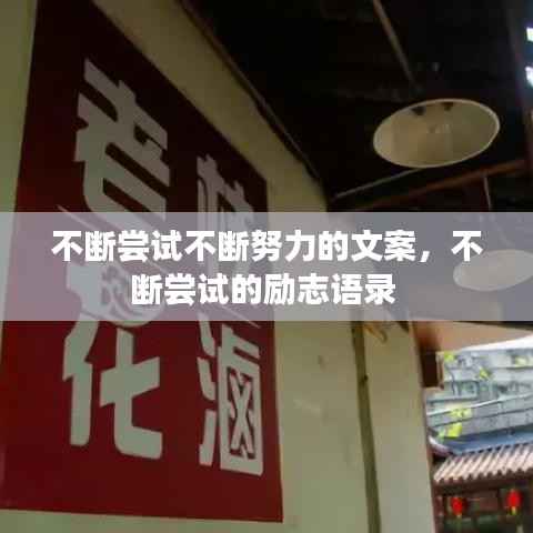 不断尝试不断努力的文案,不断尝试的励志语录