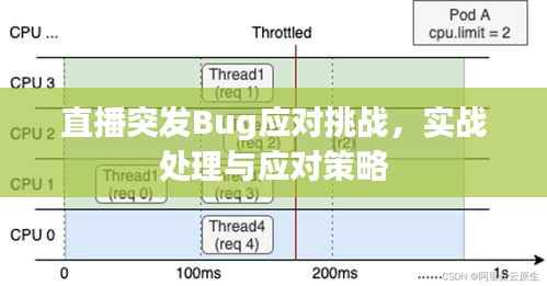 直播突发Bug应对挑战,实战处理与应对策略