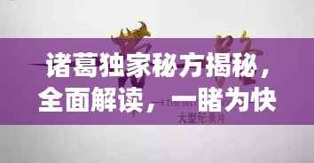 诸葛独家秘方揭秘，全面解读，一睹为快！