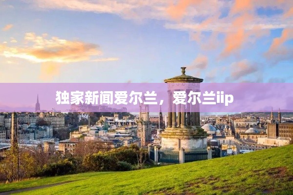 独家新闻爱尔兰,爱尔兰iip