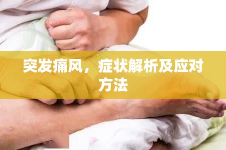 突发痛风，症状解析及应对方法