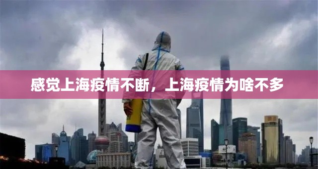 感觉上海疫情不断，上海疫情为啥不多 