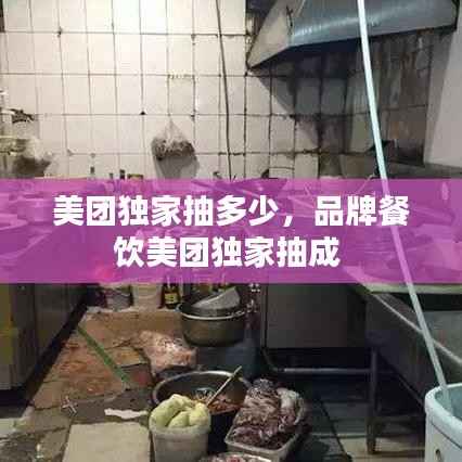 美团独家抽多少,品牌餐饮美团独家抽成