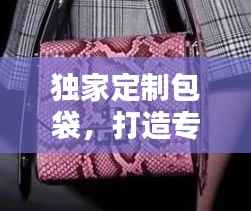 独家定制包袋，打造专属时尚风尚，极致体验引领潮流之选