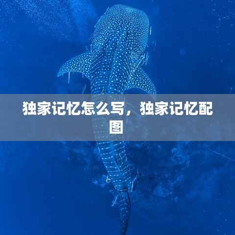 独家记忆怎么写，独家记忆配图 