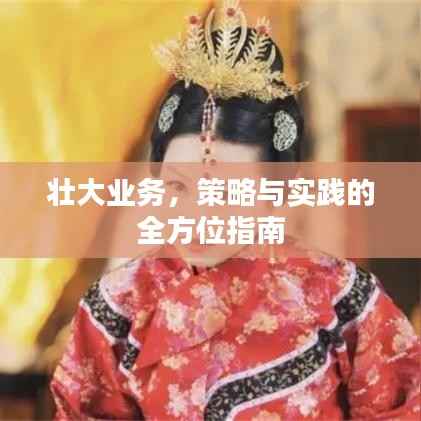壮大业务,策略与实践的全方位指南
