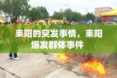 耒阳的突发事情,耒阳爆发群体事件