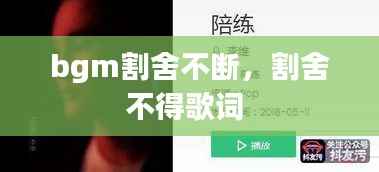 bgm割舍不断，割舍不得歌词 