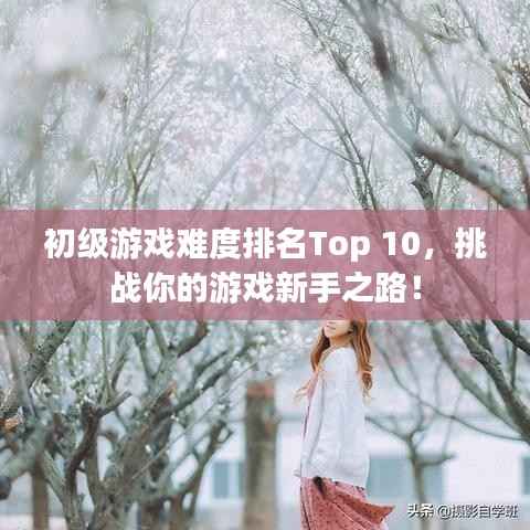 初级游戏难度排名Top 10,挑战你的游戏新手之路!